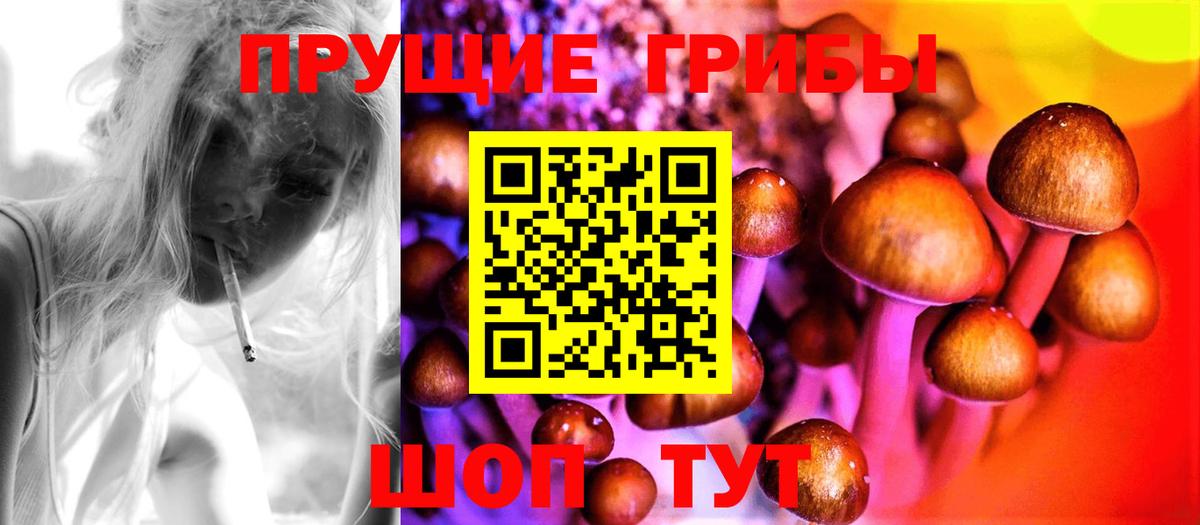 Барнаул  закладки  Псилоцибиновые грибы Magic Shrooms  Вход с VPN  Галлюциногенные грибы MAGIC MUSHROOMS 