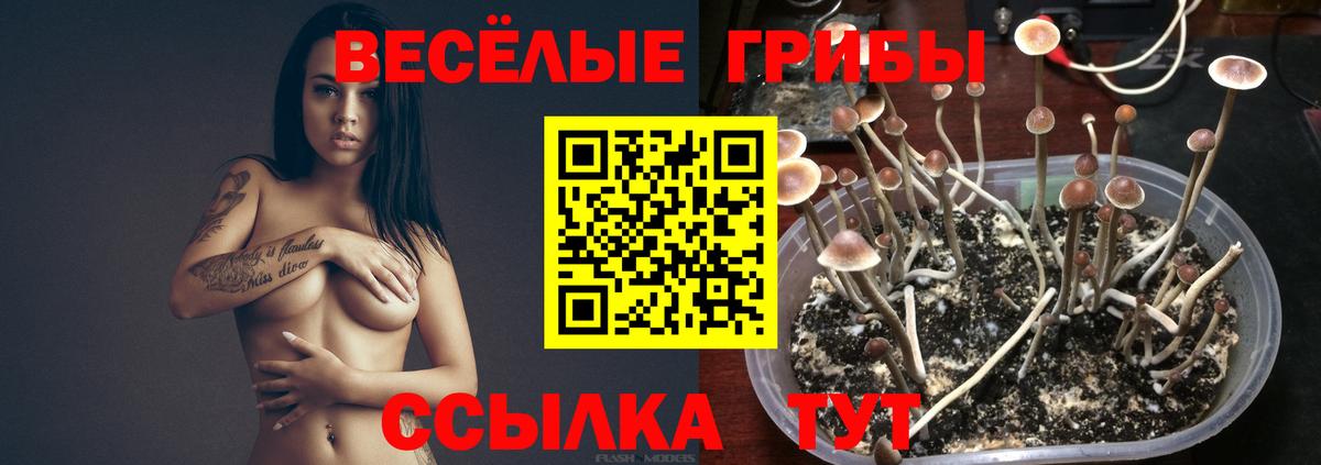 Галлюциногенные грибы GOLDEN TEACHER Барнаул